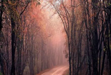 德媒:穆基勒状态滑坡,勒沃库森或重新评估买断计划.